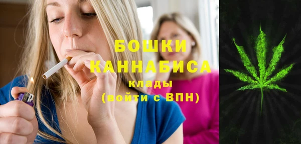 хмурый Бородино