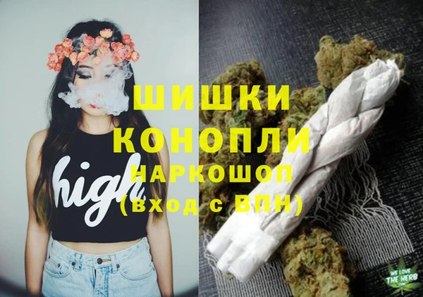 хмурый Бородино