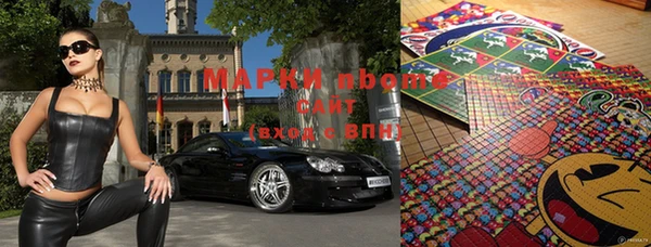 хмурый Бородино