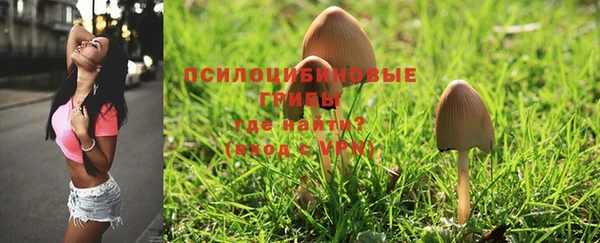 хмурый Бородино