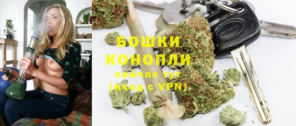 хмурый Бородино