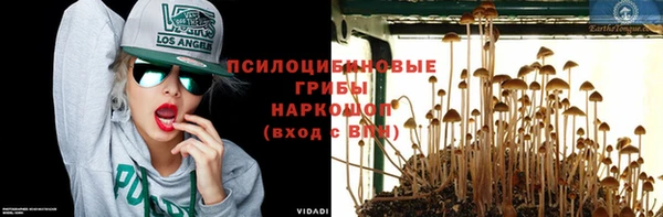 винт Бугульма